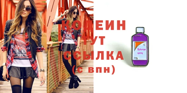 сатива Новозыбков