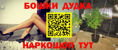 стафф Кандалакша