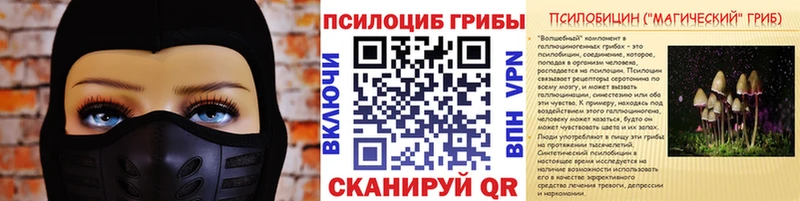 Псилоцибиновые грибы Cubensis  Лабинск 